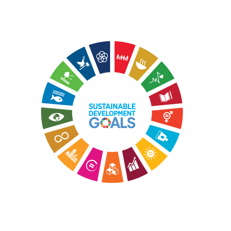 Environmental Sustainability Aligned Courses at BUBT